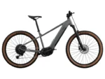 CRIVIT Vélo Électrique Tout Terrain