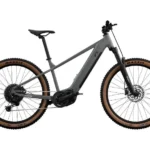 CRIVIT Vélo Électrique Tout Terrain