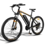FAFREES F28MT Vélo électrique