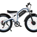 Vélo électrique DUOTTS N26