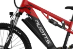 Batterie Duotts E29 - 48V 20Ah