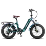 FAFREES F20 Master | Vélo électrique tout-terrain carbone 20”