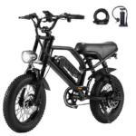 Vélo Électrique Tout Terrain AVDLEU A13